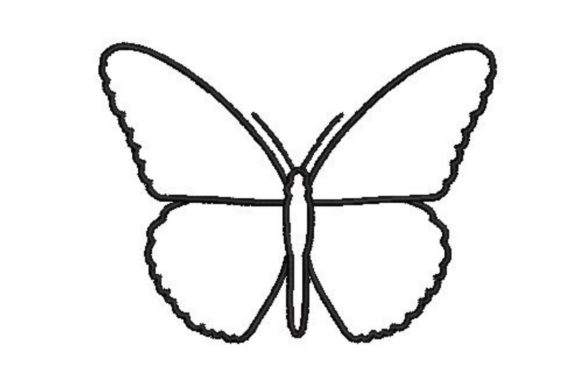 Butterfly Line Drawing: A Designer's Review